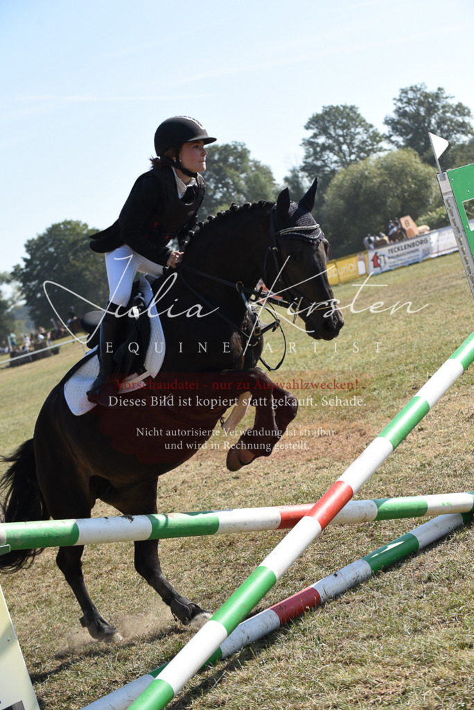 DSC_6112 | Pferde- und Turnierfotografie in Westsachsen. Pferdeportraits, Auftragszeichnungen und intuitive Kunst.