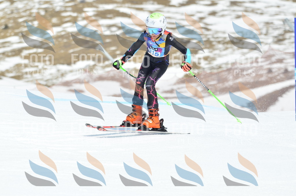 _ELE2377 | holidayphoto