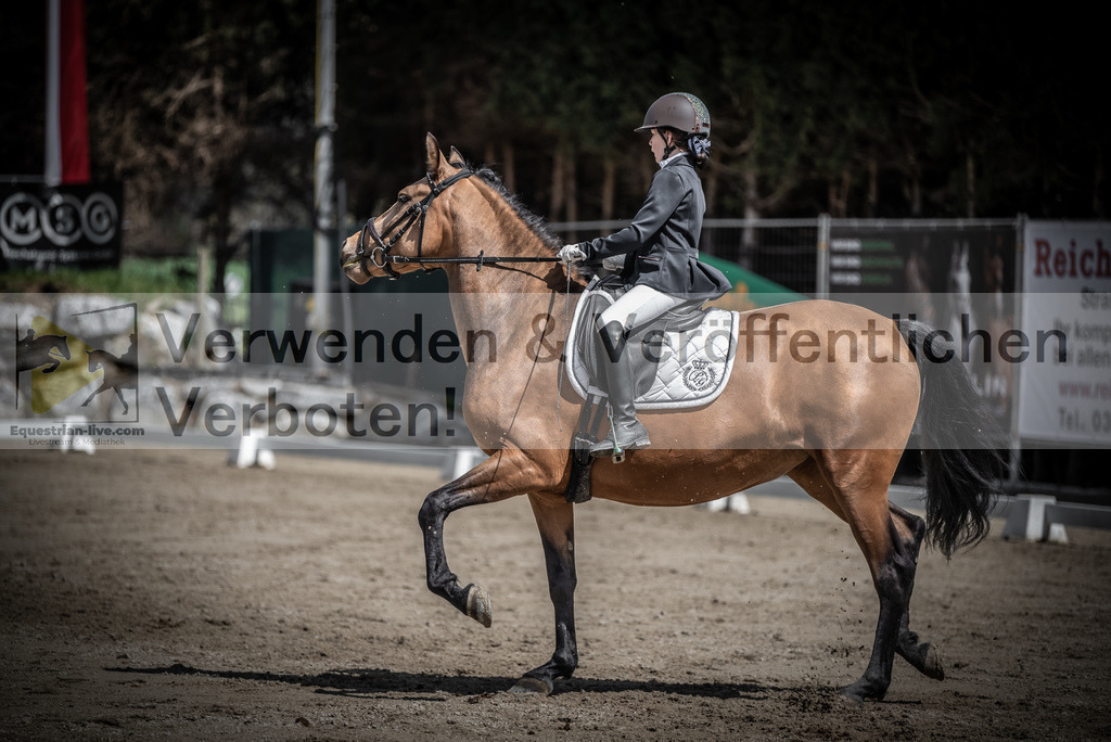 DSC_0803 | equestrian-live-com