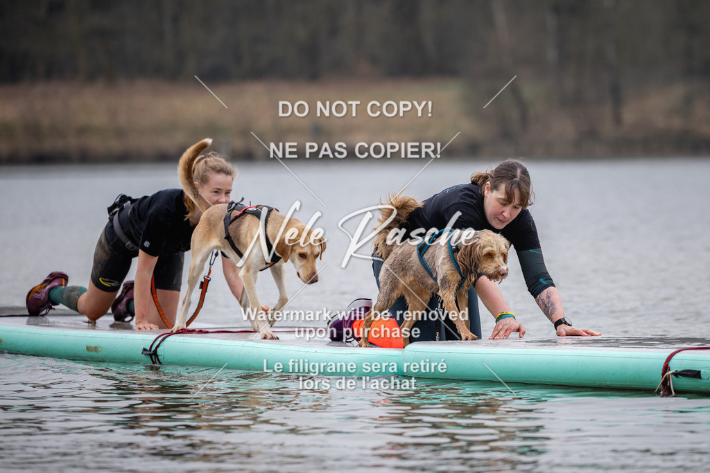 nelerasche_Hulsbeek_Sa1515-1600_85 | nelerasche