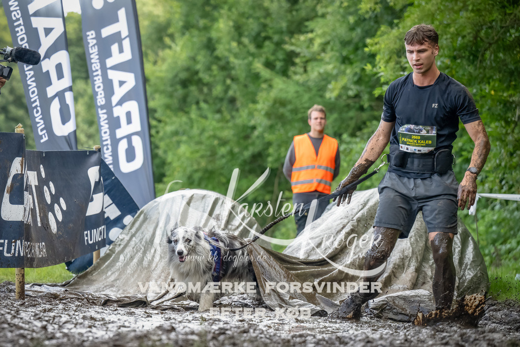 1155_ZZ90317-Bearbeitet | kk-dogfotos