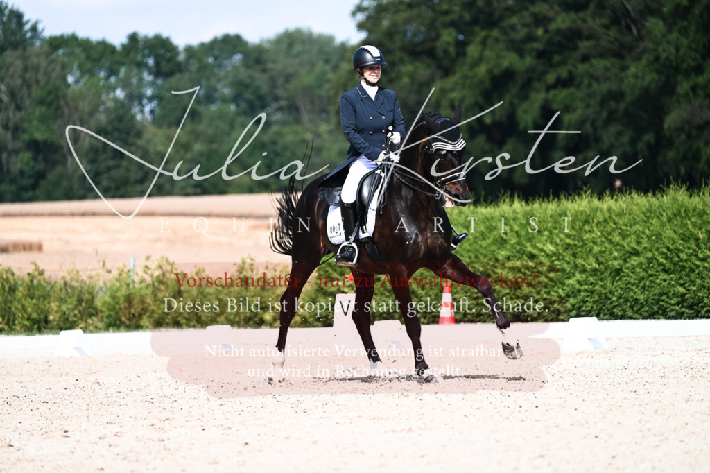 DSC_3314 | Pferde- und Turnierfotografie in Westsachsen. Pferdeportraits, Auftragszeichnungen und intuitive Kunst.