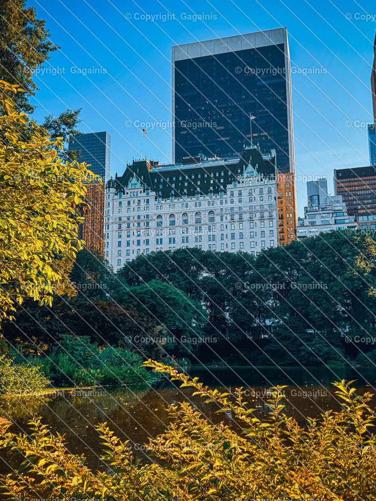 New York Plaza Hotel New York City Skyline Fotografie | NYC Wandbild | Digitale Datei | Empire State Building Poster | Stadtbild Kunst | Das Plaza Hotel, am Rande des Central Parks gelegen, ist ein ikonisches Luxushotel mit prächtiger Fassade. Aus dem Park heraus bietet sich ein majestätischer Blick auf das historische Gebäude, das sich harmonisch in die Skyline von Manhattan einfügt.