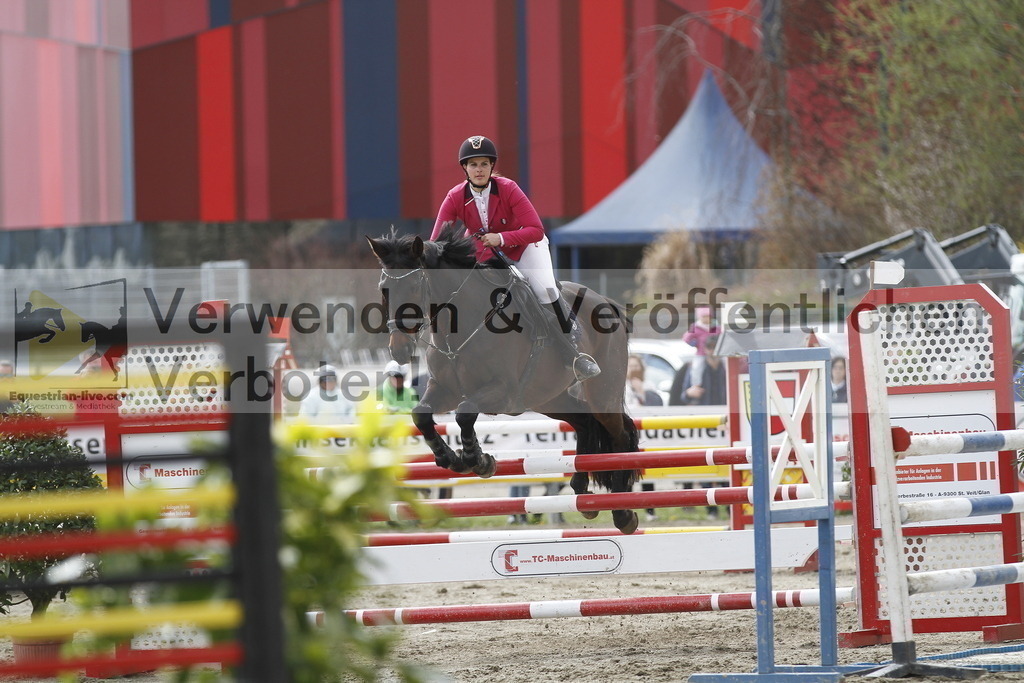 _MG_8317 | equestrian-live-com