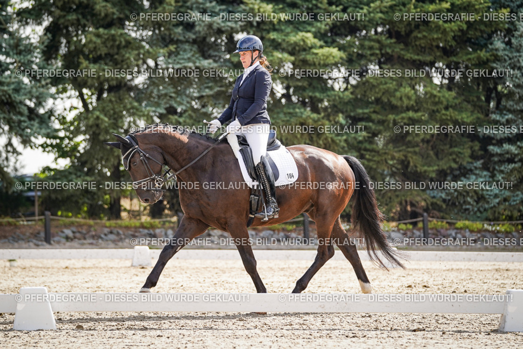 DSC06948 | Pferdegrafie