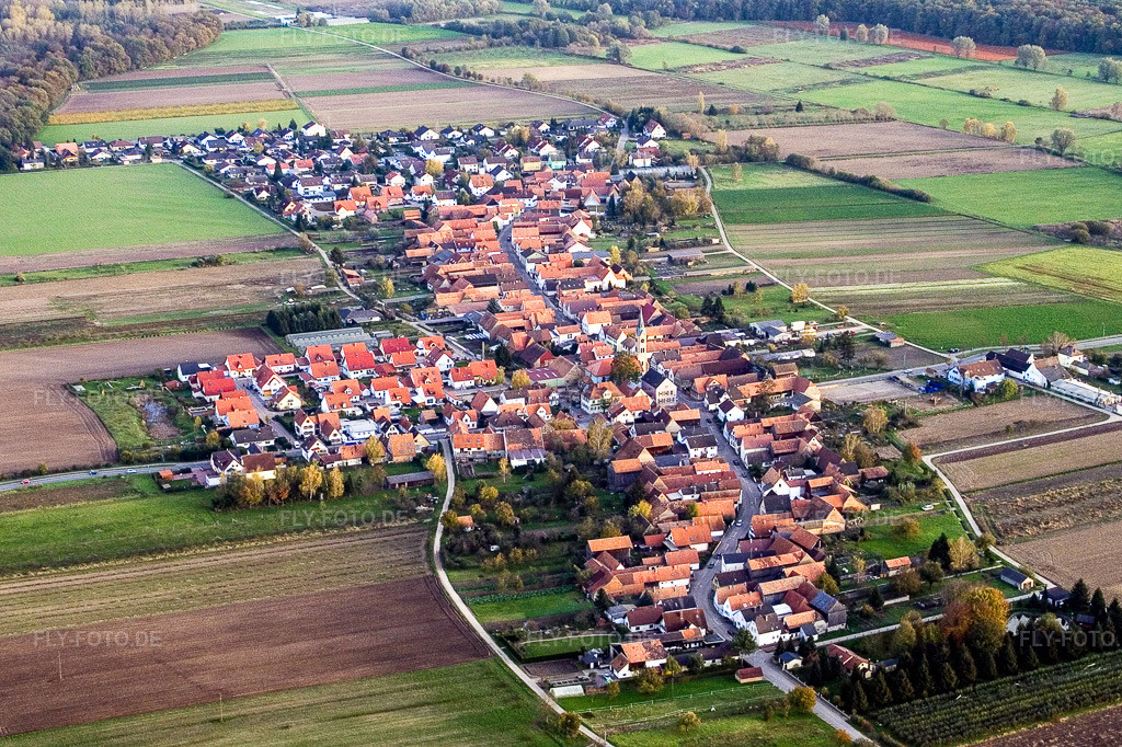 Luftbild: Dorfansicht in Erlenbach bei Kandel im Bundesland Rheinland-Pfalz in Deutschland. Foto: IMG_4635.jpg vom 10.11.2006 durch Werner Riehm/FLY-FOTO.de
