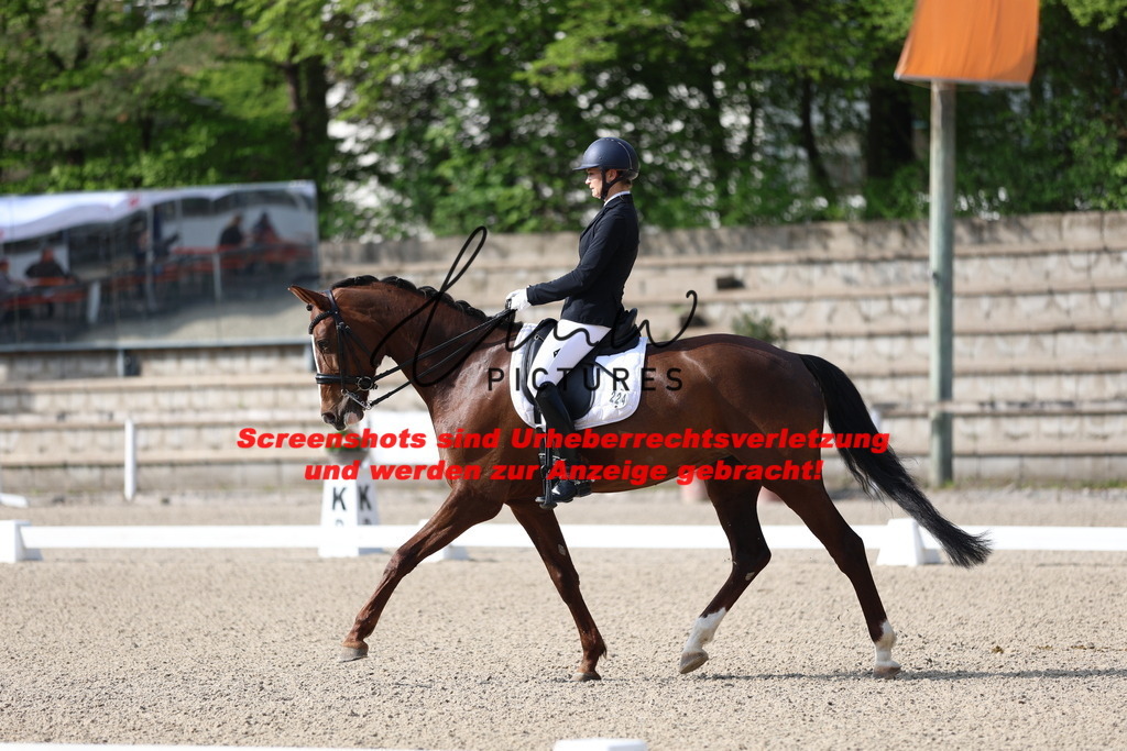 A40A3545 | lmwpictures - Realisiert mit Pictrs.com