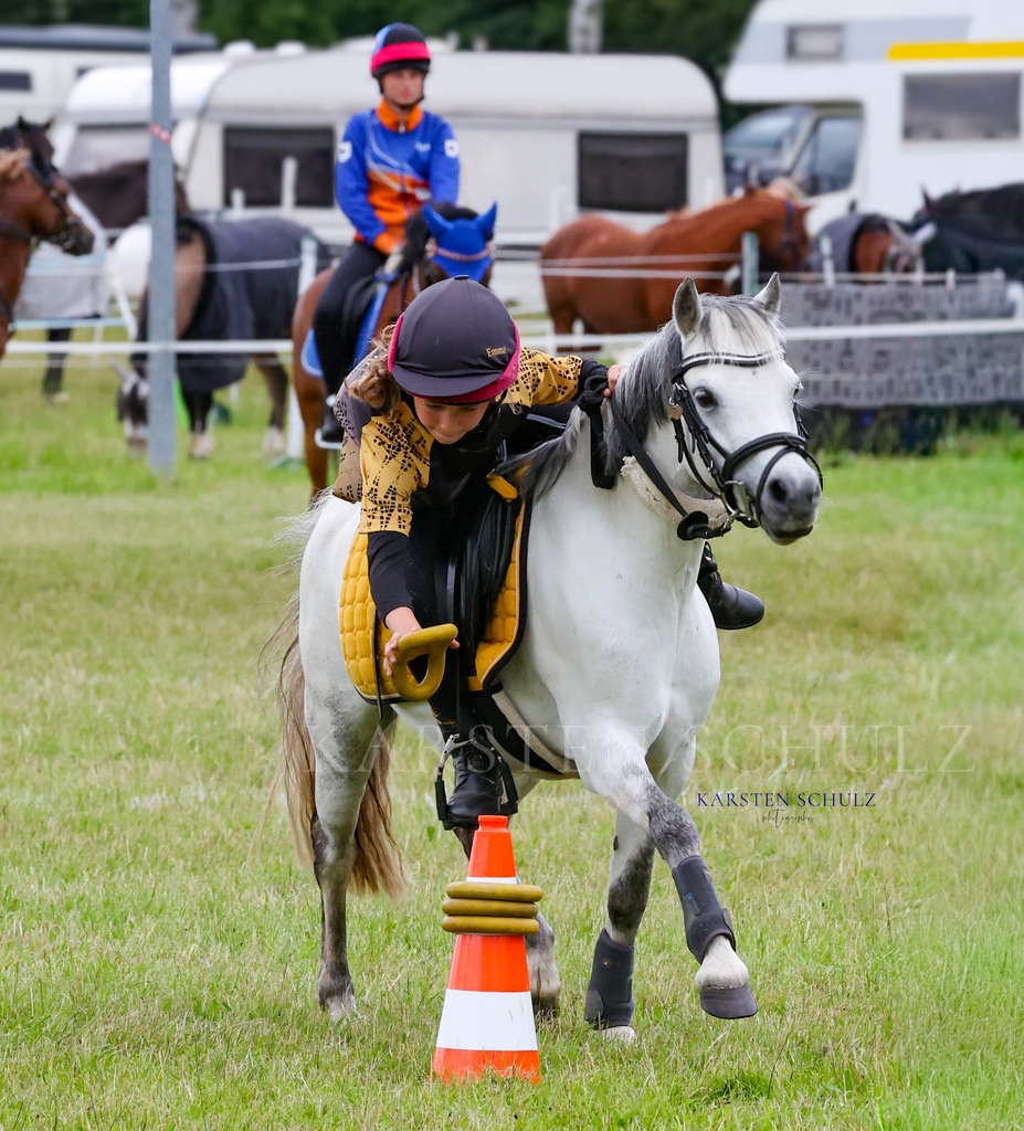 1B3A1519 | Reitsport Reiten
