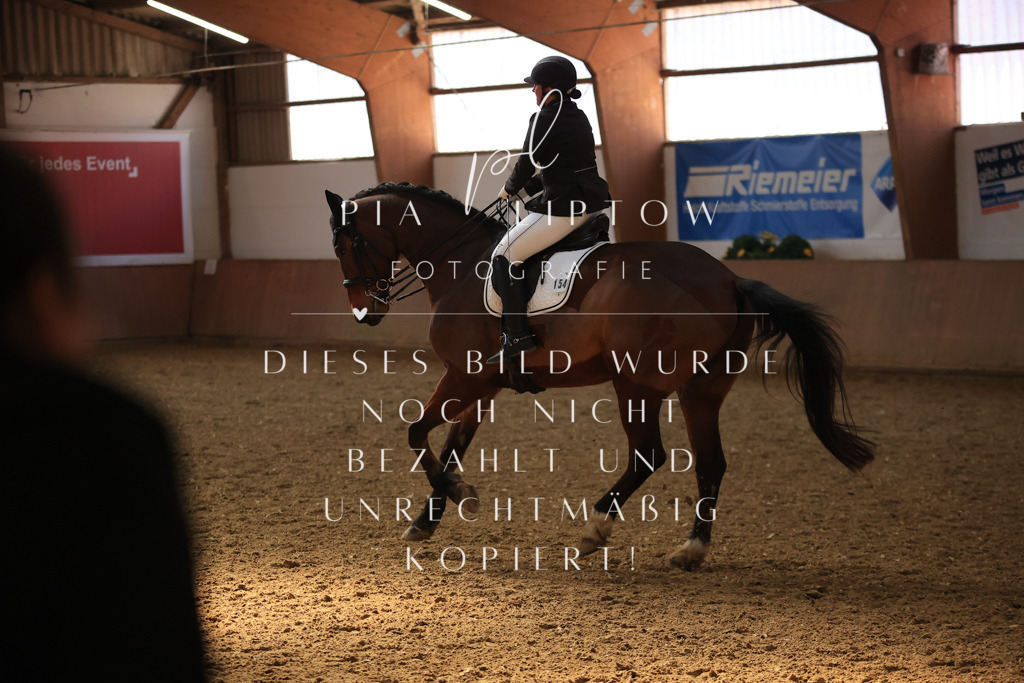 IMGT3803 | pl-fotografie