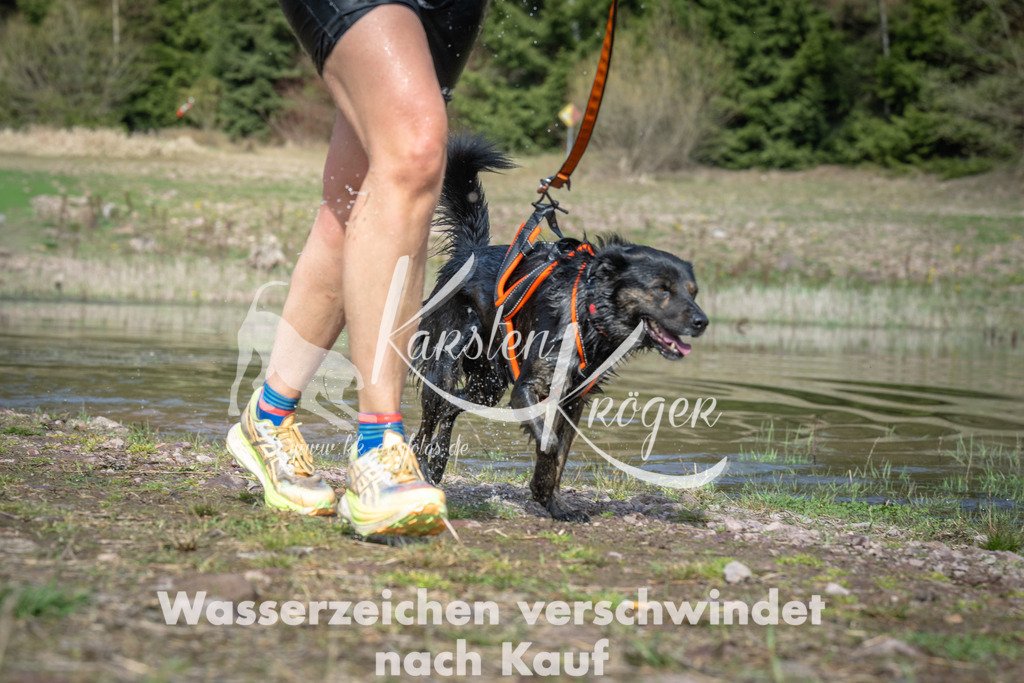 1105_ZZ93038 | kk-dogfotos