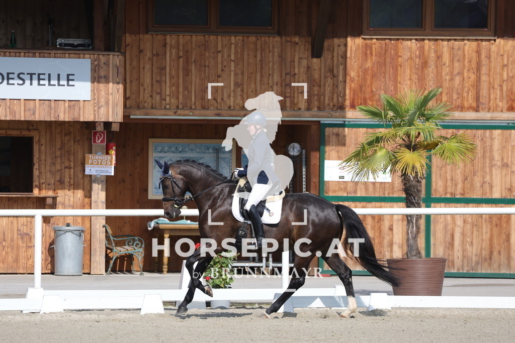 0P6A4540 | Willkommen bei Brunnmayr - Design & Fotografie – Ihrem Spezialisten für Reitturniere und Pferdeveranstaltungen in Oberösterreich, Salzburg und Bayern! Seit über 17 Jahren sind wir leidenschaftlich dabei.