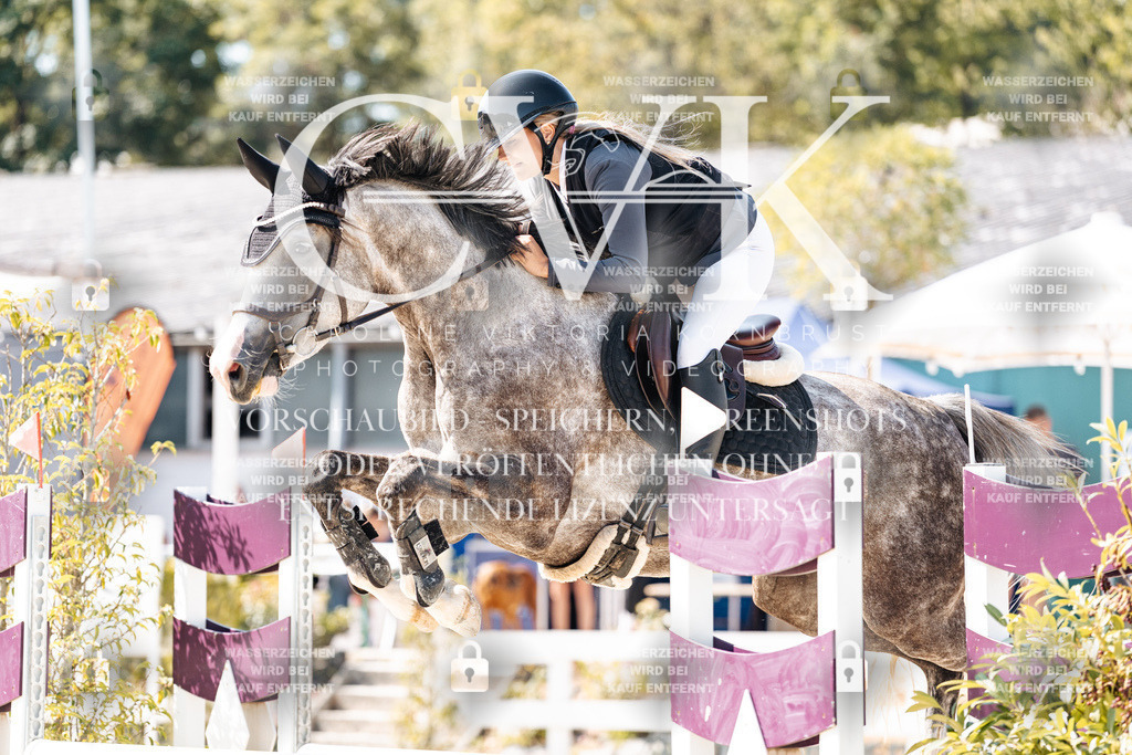 CK908575 | Turnierfotografie Pferdefotografie Trier Rheinland-Pfalz Pferdesport Reitsport Tierfotografie Sportfotografie Pferdevideo Pferdevideografie Equestrianvideography equestrianphotography  - Realisiert mit Pictrs.com