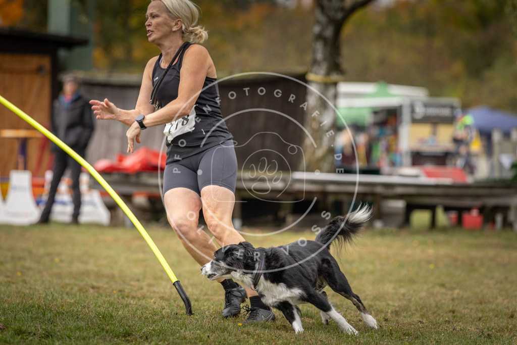 Pfotenfotografie_DV3A5548 | Hundefotografie, Tierfotograf, Pfotenfotografie, Fotoshooting Hund, Hunde Portrait, Hundesport, Hundeportraits, Heideshooting, Hunde, Sportfotograf, Hundefotograf, Turnierhundsport, THS,  - Realisiert mit Pictrs.com
