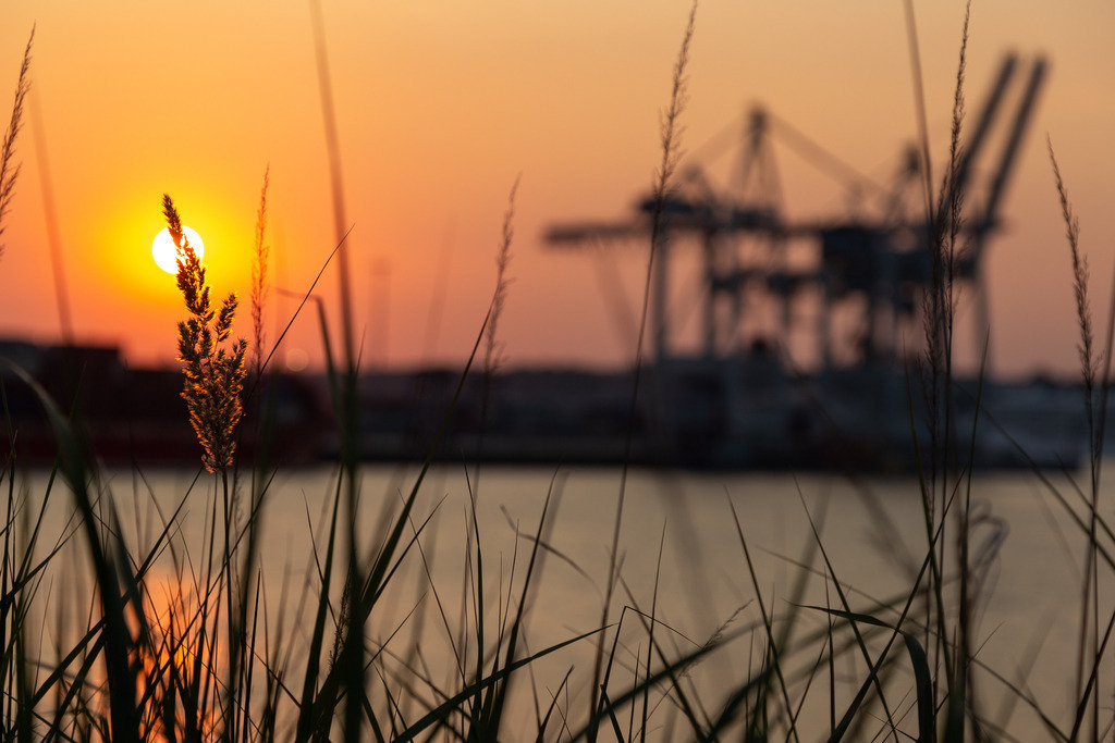 Der echte Hamburger Hafen 08 - URBANISTER | Durch die Stadt gehen, als wohnte man woanders. Fotografie, subjektiver Urbanismus und aktiver Müßiggang. - Realisiert mit Pictrs.com