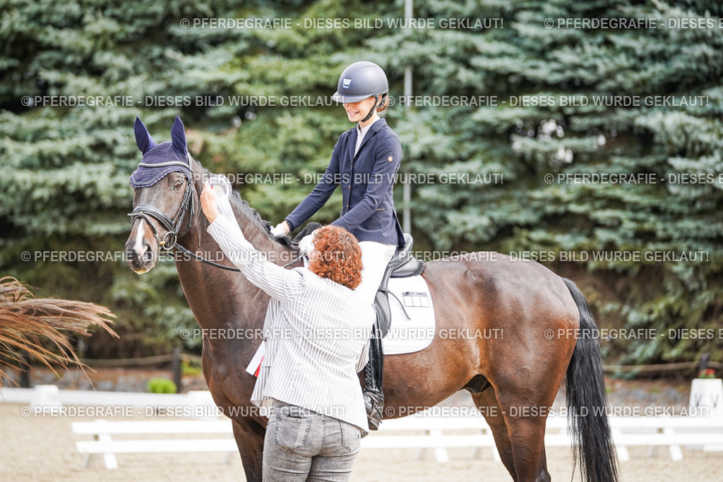 DSC02323 | Pferdegrafie