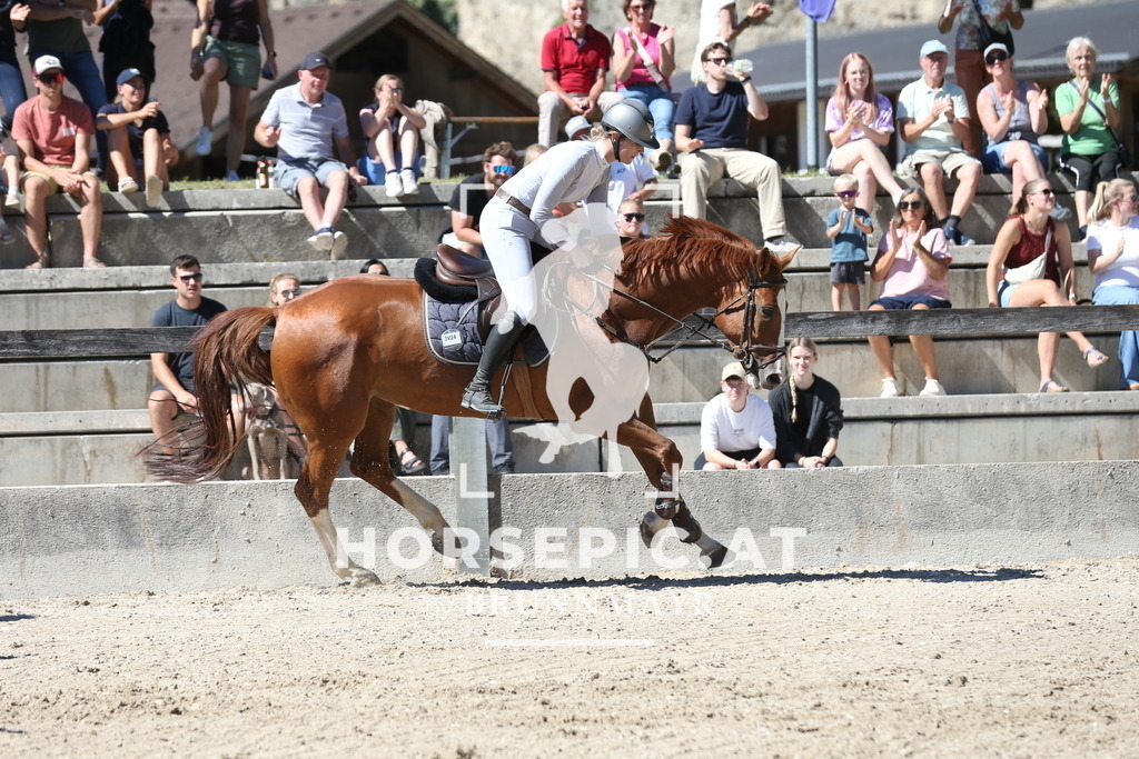 DL2Q0964 | Willkommen bei Brunnmayr - Design & Fotografie – Ihrem Spezialisten für Reitturniere und Pferdeveranstaltungen in Oberösterreich, Salzburg und Bayern! Seit über 17 Jahren sind wir leidenschaftlich dabei.