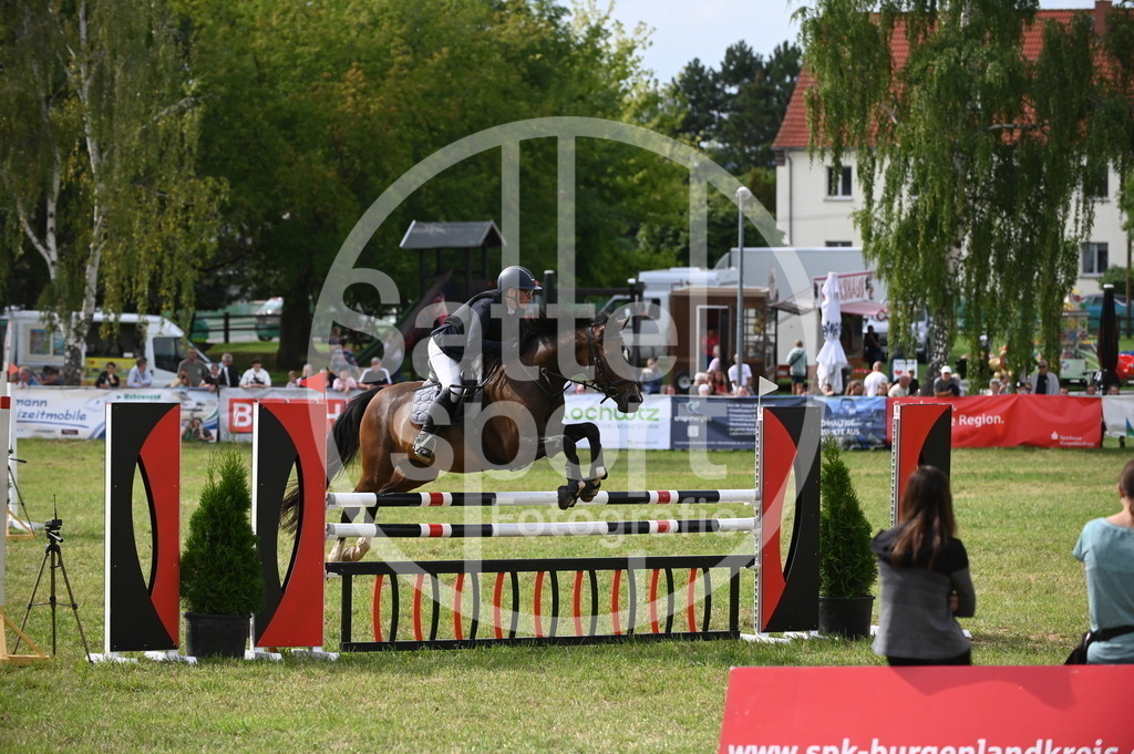 DSC_2970 | sattelsport - Realisiert mit Pictrs.com