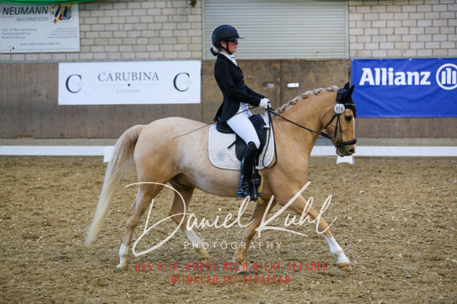 IMG_2772 | Turnierfotos kaufen im Webshop von Daniel Kuhl Photography – entdecke professionelle Reitsportfotos aus Turnieren & Events. Hochwertige Turnierbilder online bestellen & sichern. Jetzt Fotos von Reitsportturnieren kaufen!