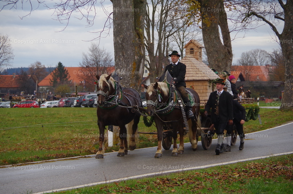 IMGP0207 | fotografiert von Axel PollmannLeonhardi Wallfahrt Benediktbeuern und Murnau, Fronleichnam, Fasching, Landschaft im Loisachtal und Benediktbeuern  - Realisiert mit Pictrs.com