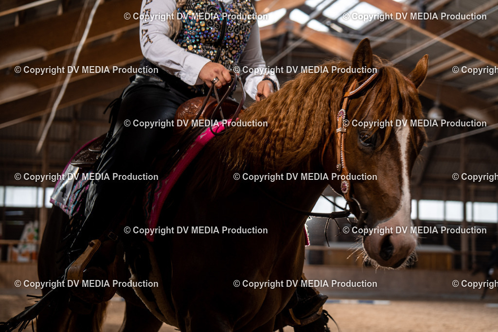 Heidelberg Tag 1-446 | dv-media-shop - Realisiert mit Pictrs.com