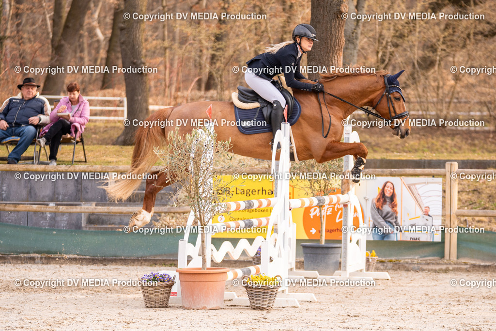 Kranichstein Tag 2-1420 | dv-media-shop - Realisiert mit Pictrs.com