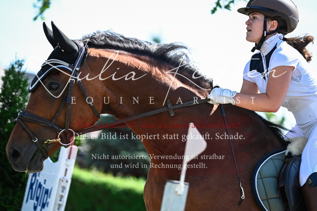 DSC_1206 | Pferde- und Turnierfotografie in Westsachsen. Pferdeportraits, Auftragszeichnungen und intuitive Kunst.