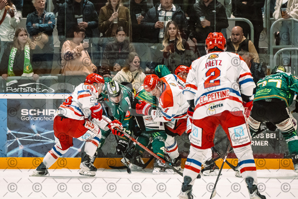 Alligators_vs_Peiting_04_10_2026-27 | Die Fotogalerie von Daddel: professionelle Bilder von Sport, Events und Unternehmen aus Franken. Jetzt Galerien durchstöbern und Lieblingsfotos bestellen. - Realisiert mit Pictrs.com