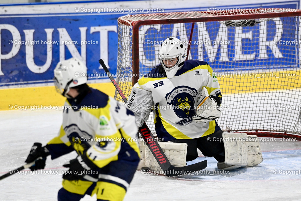 LADY HAWKS vs. WILDCATS PATERNION | #33 Oberauner Marianne Wildcats Paternion, LADY HAWKS vs. WILDCATS PATERNION, LADY HAWKS vs. WILDCATS PATERNION am 12.03.2025 in Steindorf (Ossiachersee Halle), Austria, (Photo by Bernd Stefan)