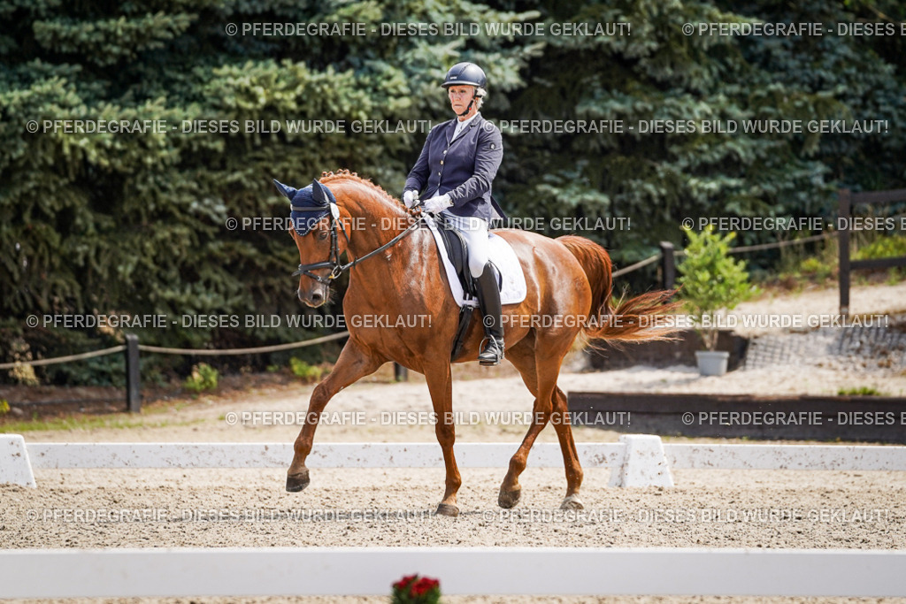 DSC00478 | Pferdegrafie