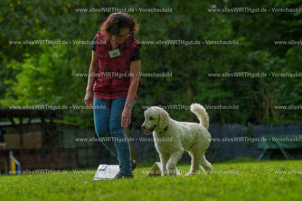 @allesWIRTHgut_Tierfotografie - www.allesWIRTHgut.de - 7R505228 | Professionelle Tierfotografie in Mönchengladbach von Daniel Wirth (allesWIRTHgut). Liebevolle & natürliche Bilder von Hunden & Katzen für unvergessliche Erinnerungen.