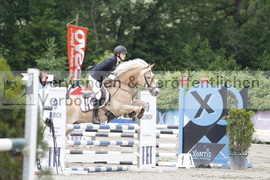 _MG_6029 | equestrian-live-com