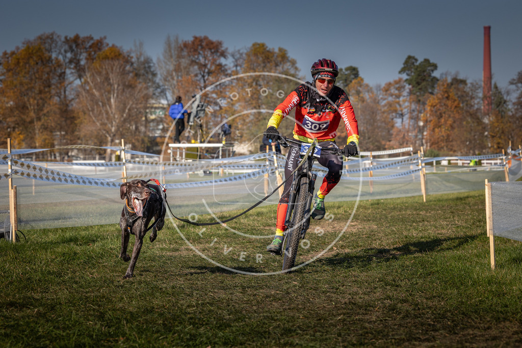 CaniXpix_0L8A7557 | Hundefotografie, Tierfotograf, Pfotenfotografie, Fotoshooting Hund, Hunde Portrait, Hundesport, Hundeportraits, Heideshooting, Hunde, Sportfotograf, Hundefotograf, Turnierhundsport, THS,  - Realisiert mit Pictrs.com