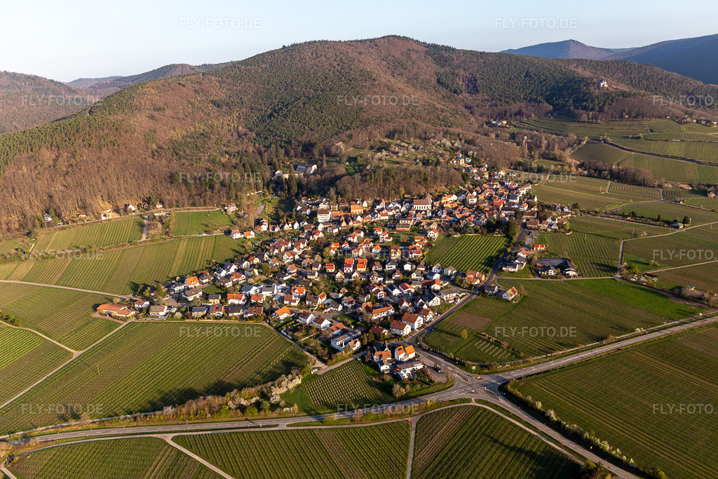 Luftbild: Dorfkern am Rande von Weinbergen und Winzer- Gütern im Weinbaugebiet in Gleisweiler im Bundesland Rheinland-Pfalz in Deutschland. Foto: IMG_126288.jpg vom 04.04.2021 durch Werner Riehm/FLY-FOTO.de