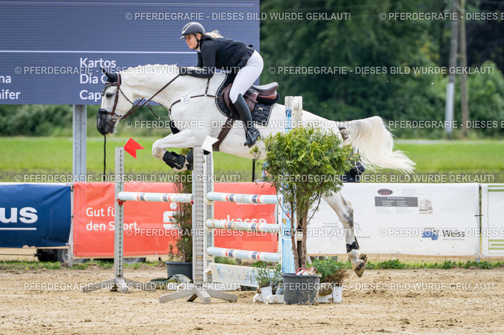 DSC05015 | Pferdegrafie