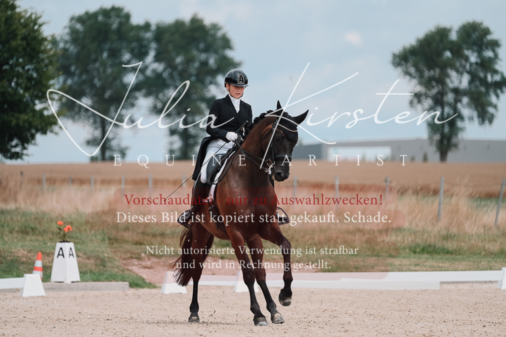 DSC_4186 | Pferde- und Turnierfotografie in Westsachsen. Pferdeportraits, Auftragszeichnungen und intuitive Kunst.