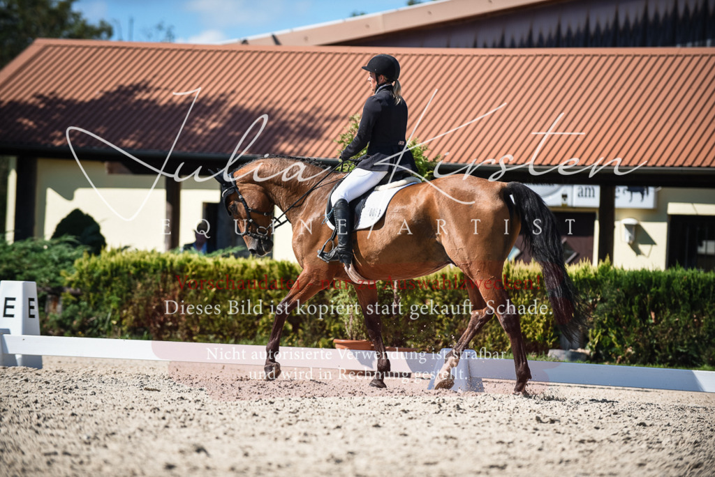 DSC_9685 | Pferde- und Turnierfotografie in Westsachsen. Pferdeportraits, Auftragszeichnungen und intuitive Kunst.