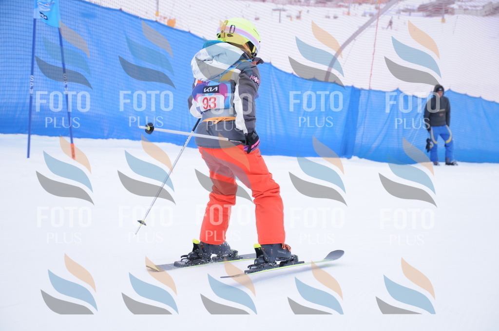 DSC_8265 | holidayphoto