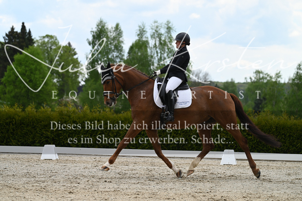 20230512_JK-Röhrsdorf-03-092 | Pferde- und Turnierfotografie in Westsachsen. Pferdeportraits, Auftragszeichnungen und intuitive Kunst.