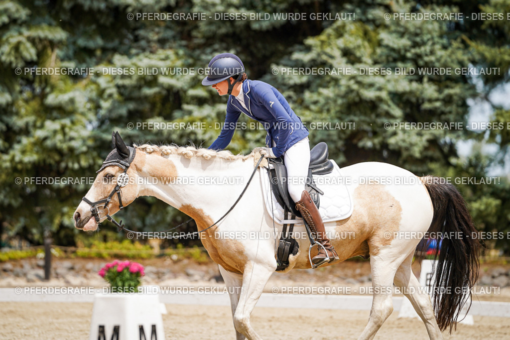 DSC03733 | Pferdegrafie