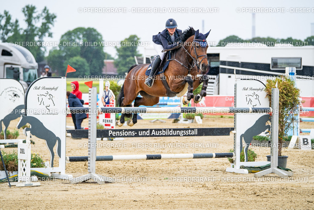 DSC08034 | Pferdegrafie