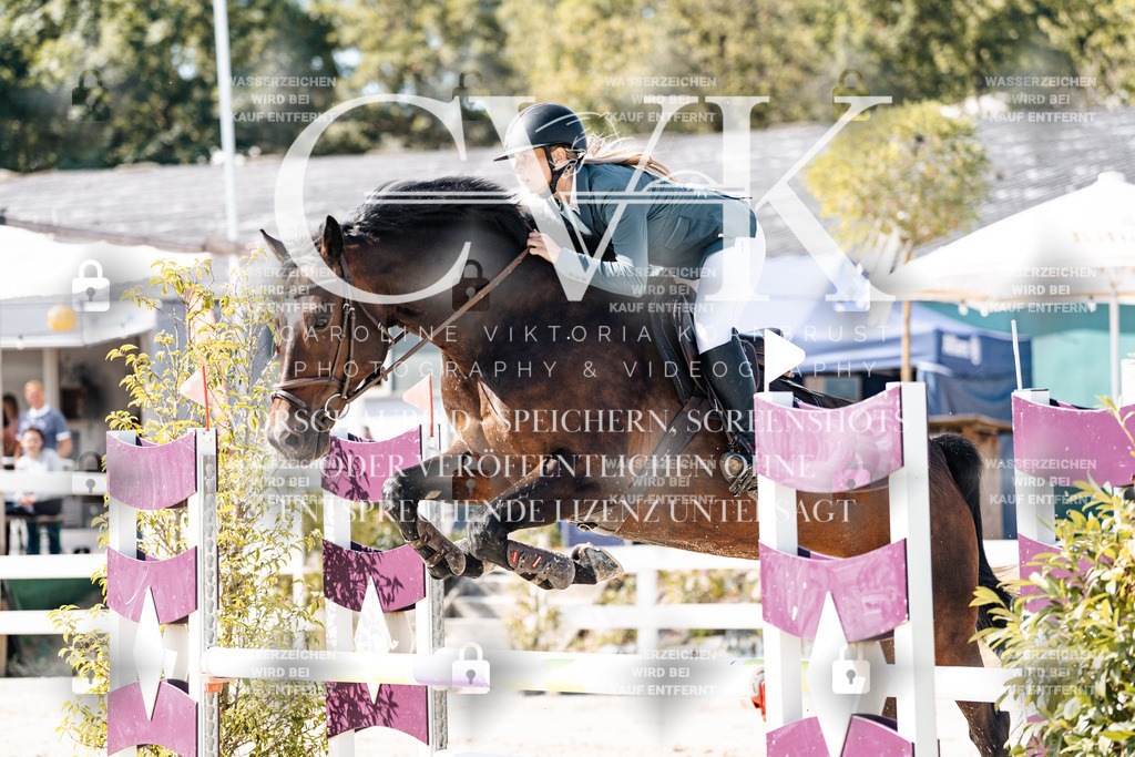 CK908002 | Turnierfotografie Pferdefotografie Trier Rheinland-Pfalz Pferdesport Reitsport Tierfotografie Sportfotografie Pferdevideo Pferdevideografie Equestrianvideography equestrianphotography  - Realisiert mit Pictrs.com