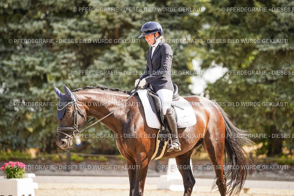 DSC00835 | Pferdegrafie