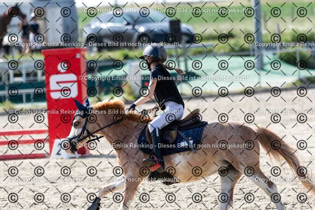 CL5A1221 | Emilia Reinking Fotografie - Realisiert mit Pictrs.com