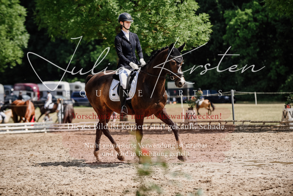 DSC_0873 | Pferde- und Turnierfotografie in Westsachsen. Pferdeportraits, Auftragszeichnungen und intuitive Kunst.