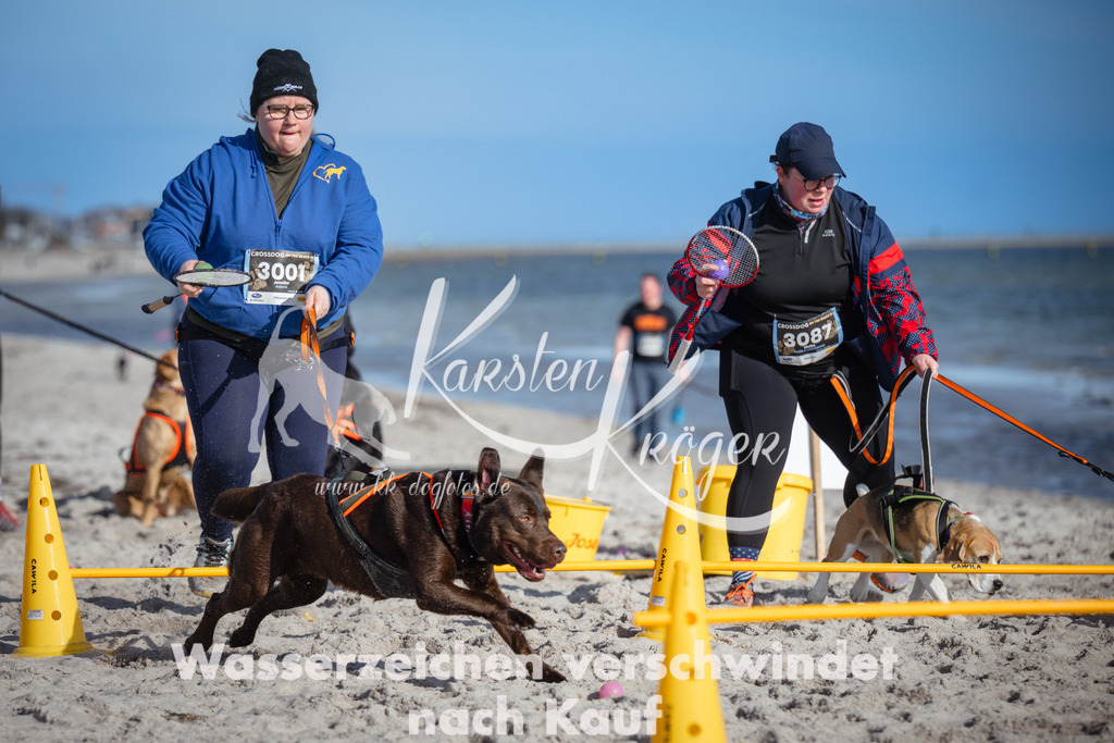 1331_ZZ91662 | kk-dogfotos