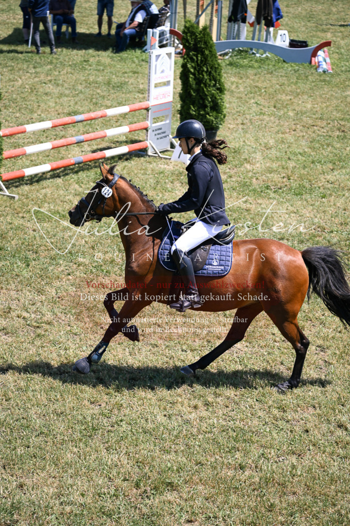 DSC_0029 | Pferde- und Turnierfotografie in Westsachsen. Pferdeportraits, Auftragszeichnungen und intuitive Kunst.