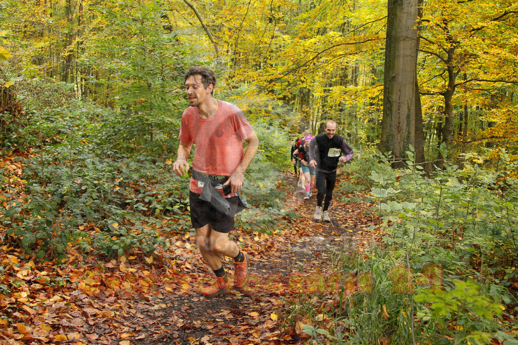 251026_1246_EV4_5772 | Sportfotografie im Rhein-Sieg Kreis, Köln, Bonn, NRW, Rheinland Pfalz, Hessen, etc. Unser Tätigkeitsfeld umfasst den Laufsport vom Volkslauf über den Marathon, Duathlon, Triathon bis zum Ultralauf wie Kölnpfad Ultra oder Schindertrail.