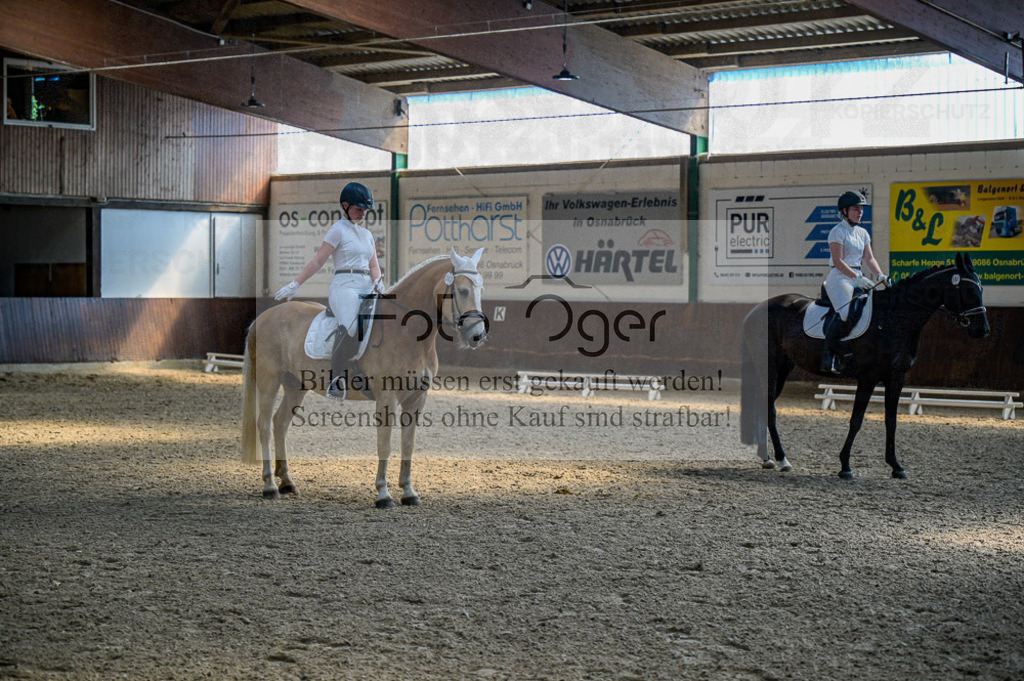 Reitturnier Voxtrup | Entdecke hochwertige Reitturnierfotos von Foto Oger. Professionell, emotional und authentisch – jetzt Lieblingsmomente im Shop bestellen.Deutschlandweite Turnierfotografie. - Realisiert mit Pictrs.com