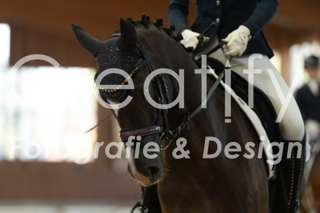 IMG_8341 | Creatify Fotografie