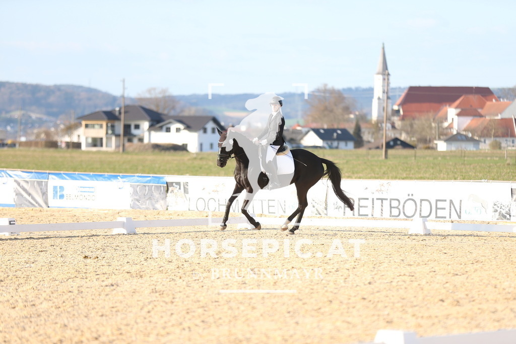 AS8V2178 | Willkommen bei Brunnmayr - Design & Fotografie – Ihrem Spezialisten für Reitturniere und Pferdeveranstaltungen in Oberösterreich, Salzburg und Bayern! Seit über 17 Jahren sind wir leidenschaftlich dabei.